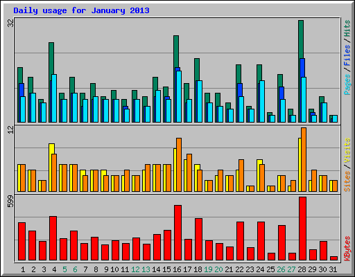 Daily usage for January 2013