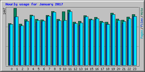 Hourly usage for January 2017