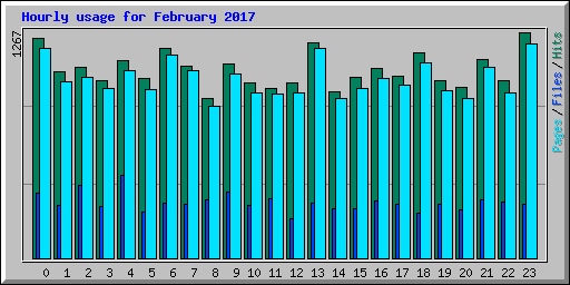 Hourly usage for February 2017