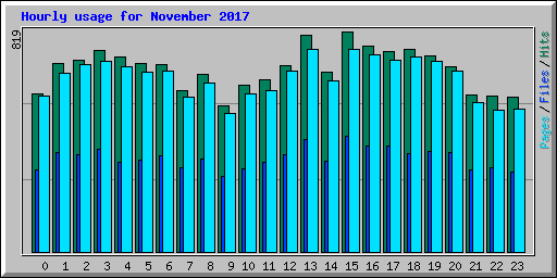 Hourly usage for November 2017