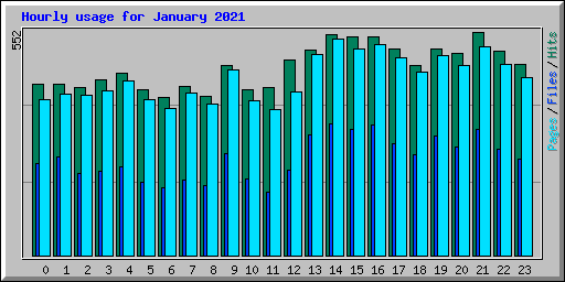 Hourly usage for January 2021