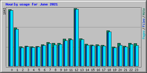 Hourly usage for June 2021